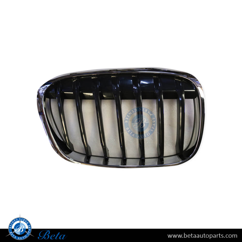 Right Side Radiator Grille - Basis for BMW X1 F48 2016-2019 models, Part Number 51137354824 Right Side Radiator Grille - Basis for BMW X1 F48 2016-2019 models, Part Number 51137354824